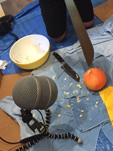 gore recording session