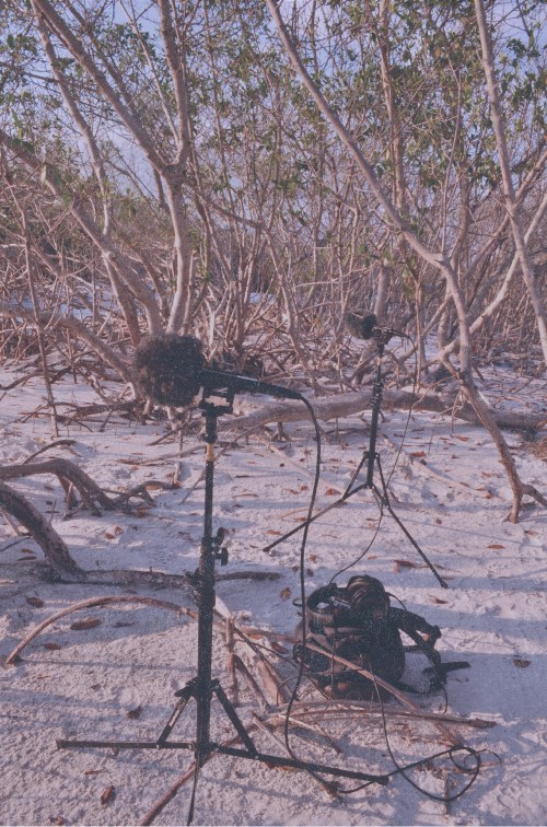 Sound recording