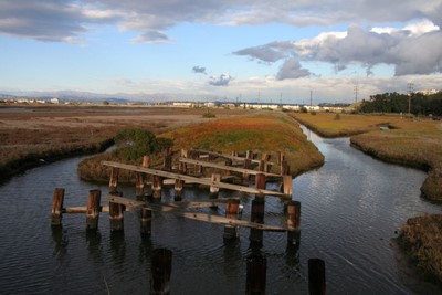 Recording in Ballona Wetlands