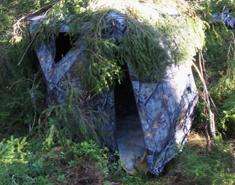 The hide is like a low tent covered in tree branches.