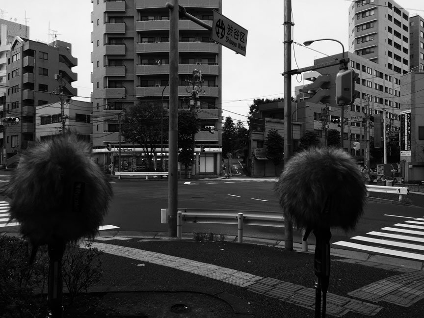 Two mics capture an intersection in Shibuya Ward