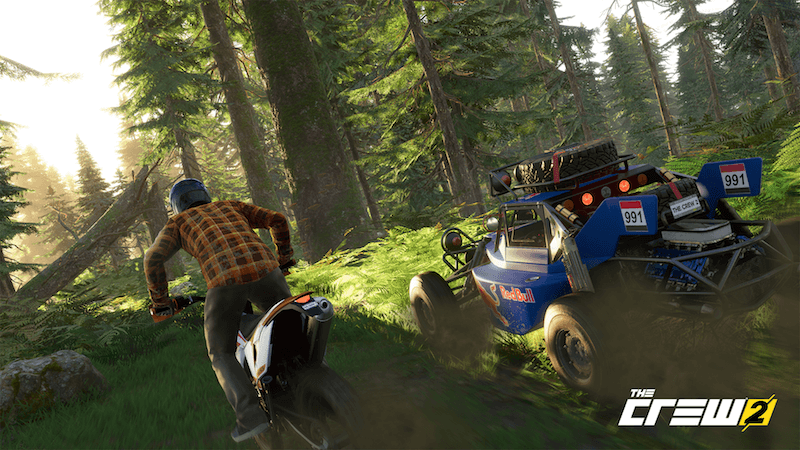 A dirt bike rides alongside an ATV in Muir Woods.