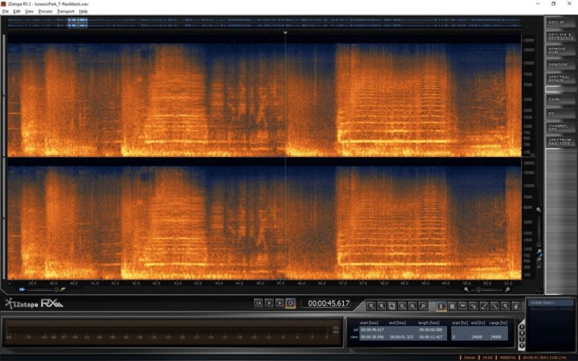An Izotope RX spectrogram.