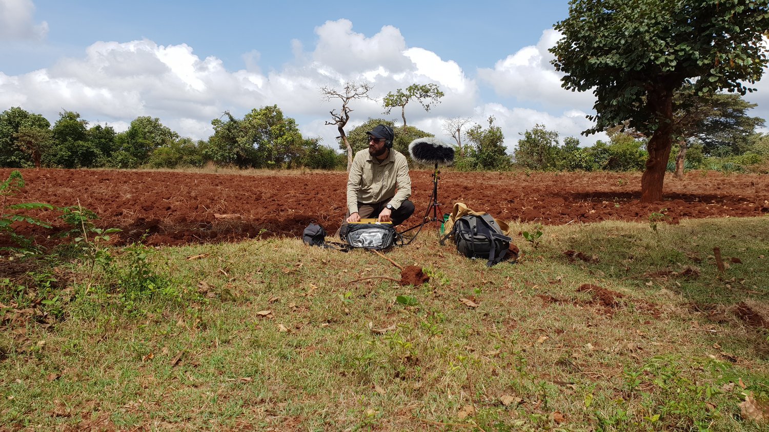 George Vlad sits in an open field recording.