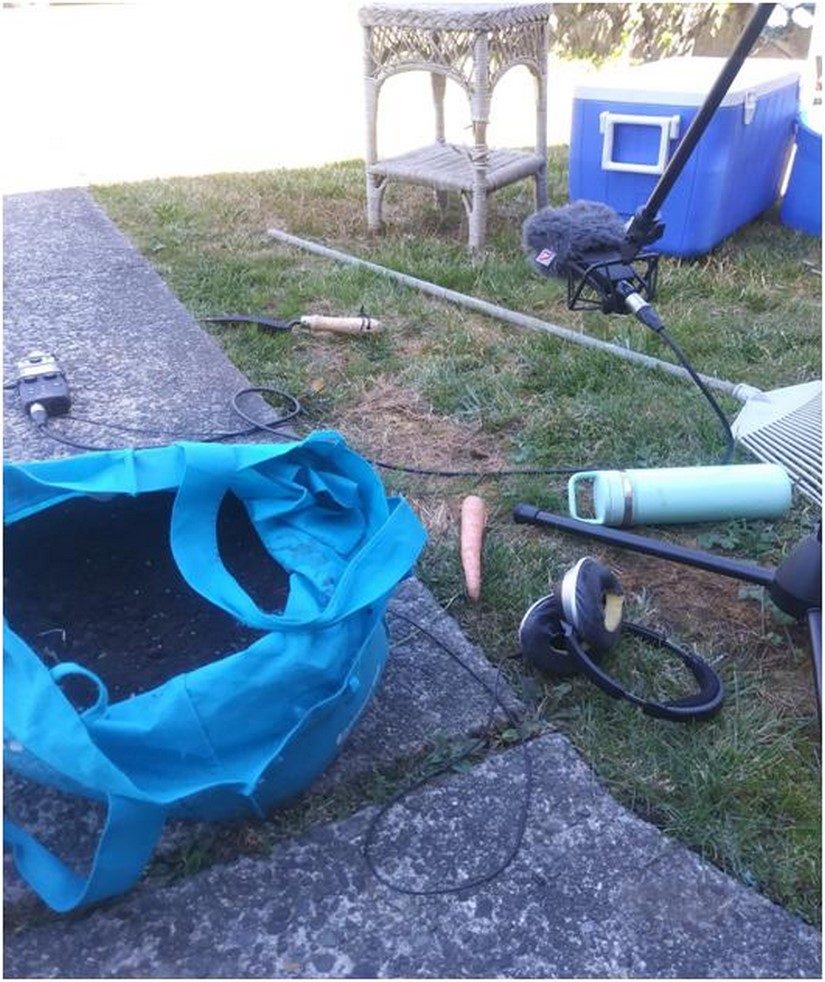 More backyard recording for Untitled Goose Game