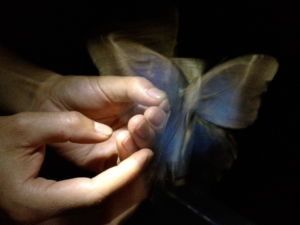 Quiet_Planet_sound-1