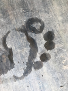 Quiet_Planet_sound-13