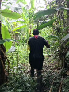 Quiet_Planet_sound-14