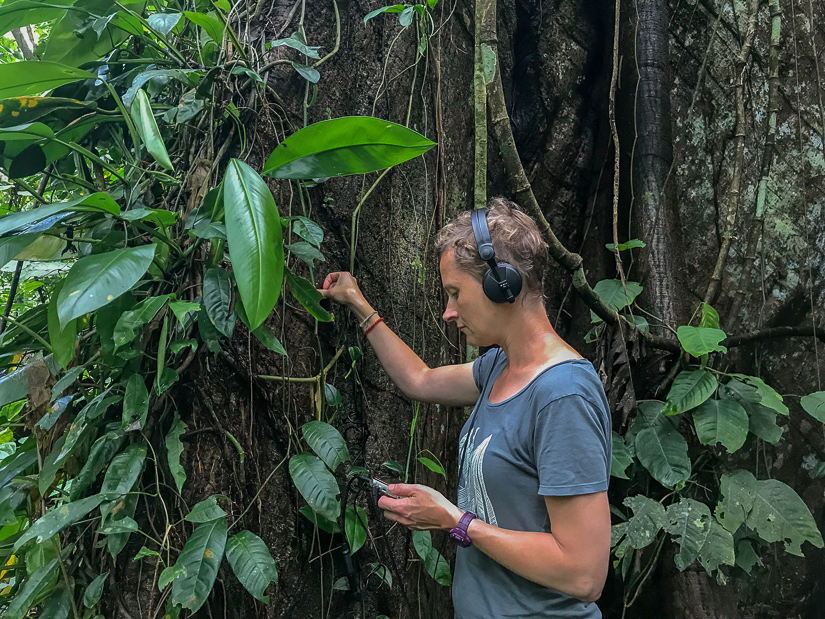 Quiet_Planet_sound-15