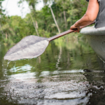 Quiet_Planet_sound-17