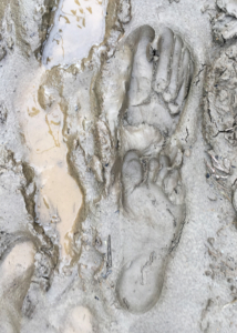 Quiet_Planet_sound-6