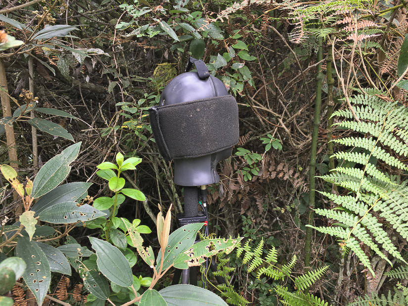 Quiet_Planet_sound-8