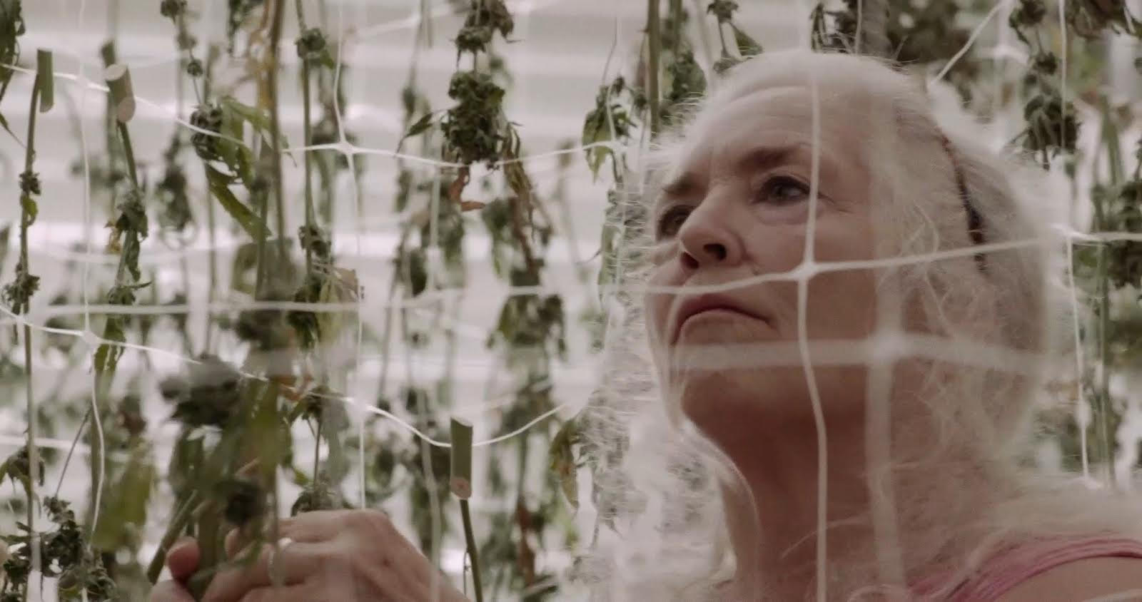 Trimming with scissors