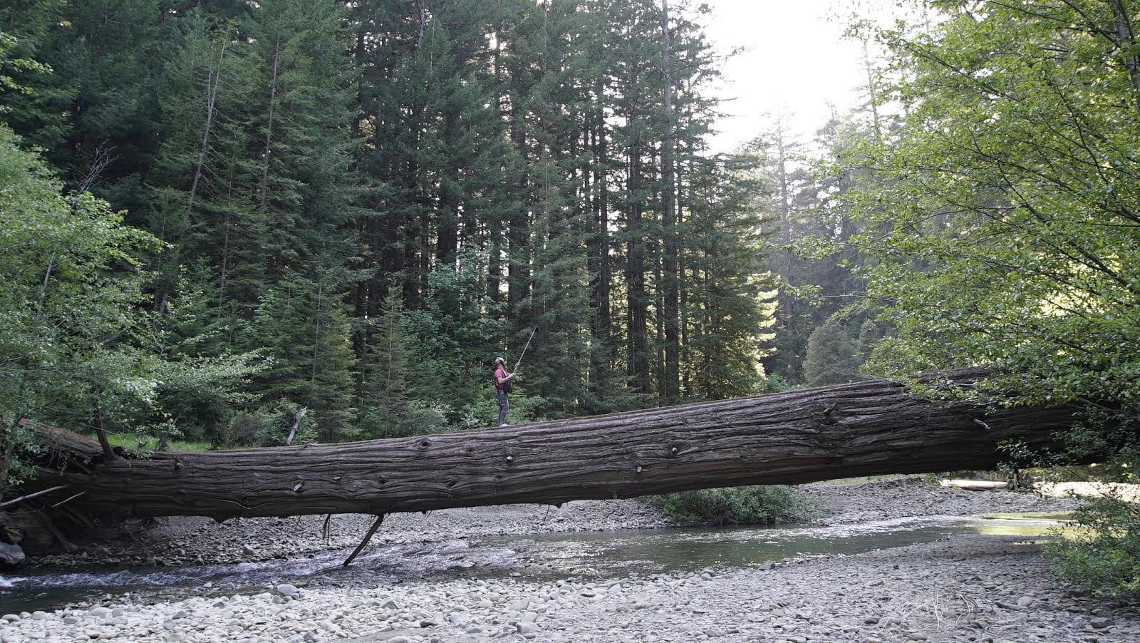 Production sound mixer Patrick Kollman