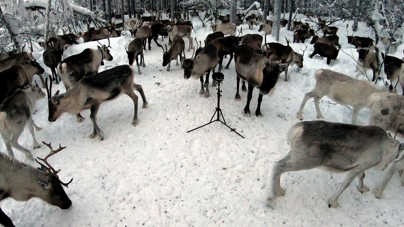 Aurora Borealis sound effects recording