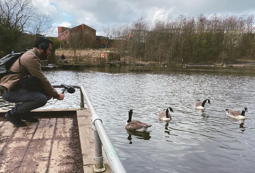 GeeseLibrary_sound-04