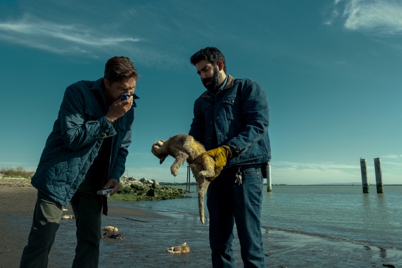 MidnightMass_sound-03