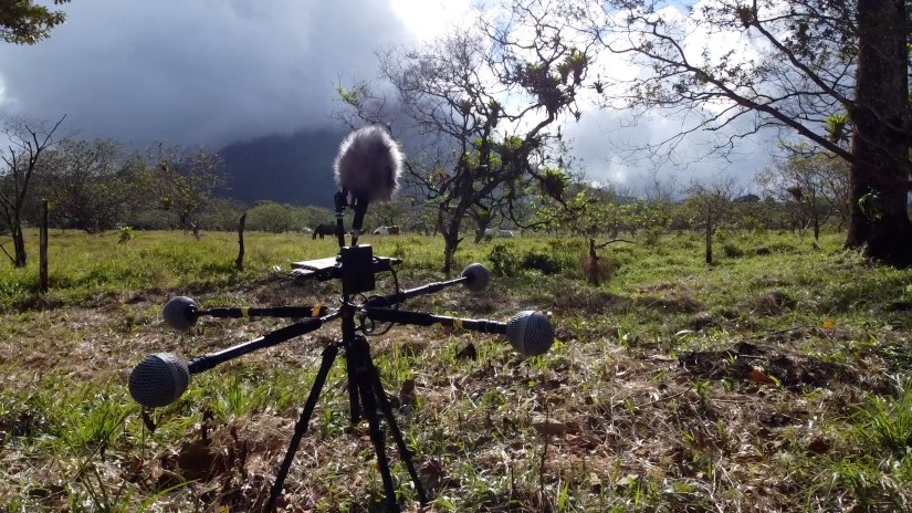 ForzaHorizon5_sound-09