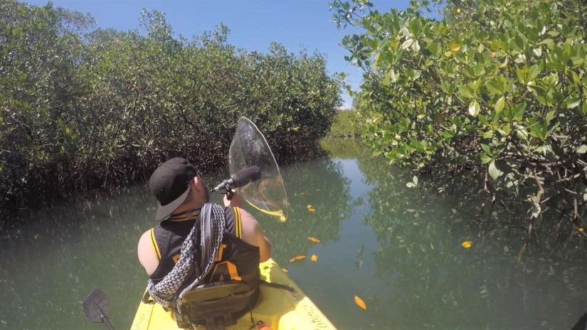 ForzaHorizon5_sound-10