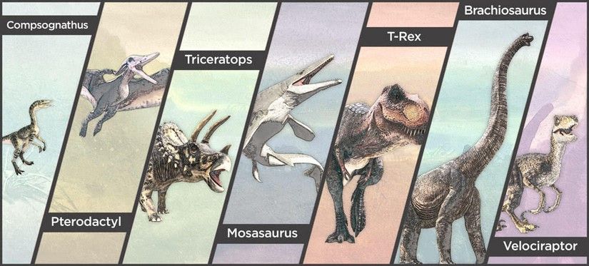 Extinct Animals_sound-03