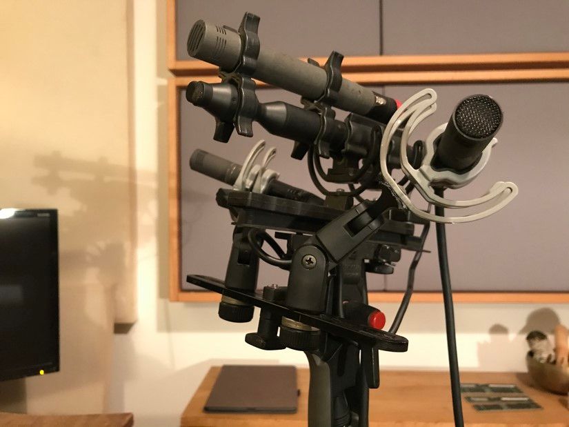 Extinct Animals_sound-05