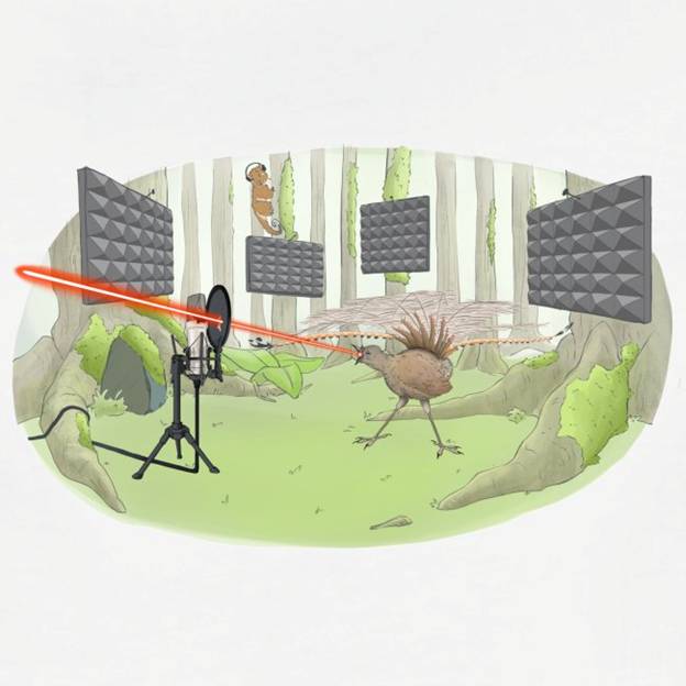 A Sound Planet_sound-02