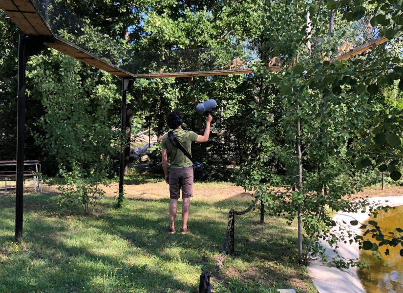 Animal Sound Effects Recording