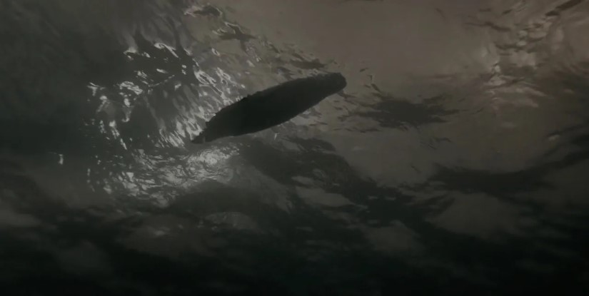 EssexSerpent_sound-09