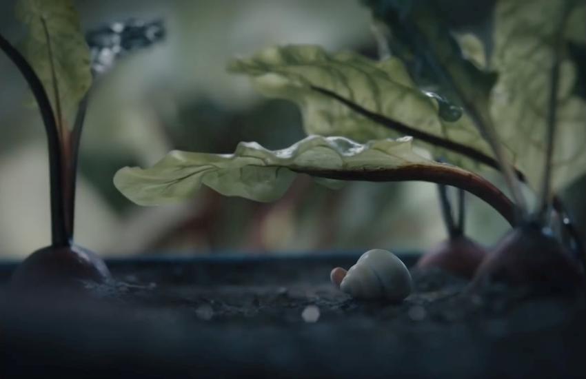 MarceTheShell_sound-07