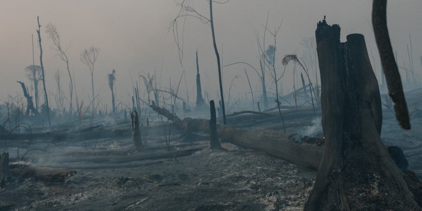 TheTerritory_sound-12