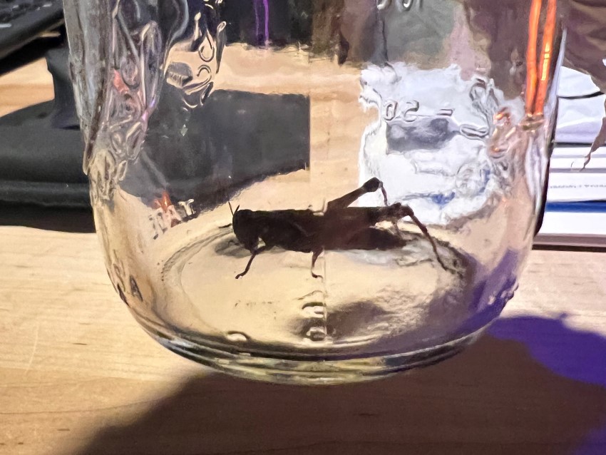 KnockAtCabin_sound-11