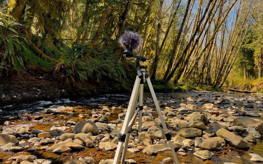 SEASON_game-sound-11