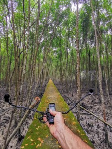 SFufaNomadic_sound-15