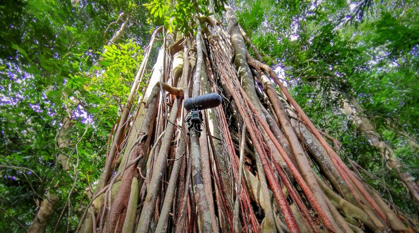 SFufaNomadic_sound-17