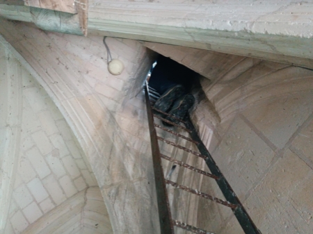 Nicolas Titeux_sound-03