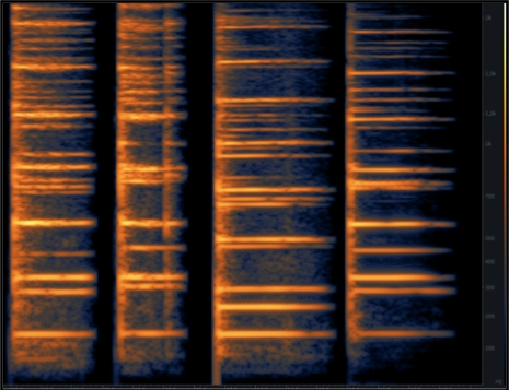 Nicolas Titeux_sound-05