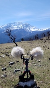 EarthExperience_sound-07