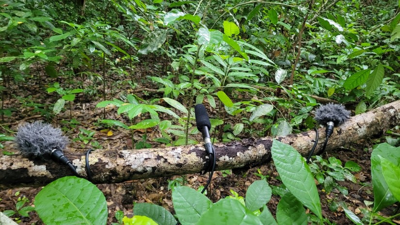 EarthExperience_sound-11