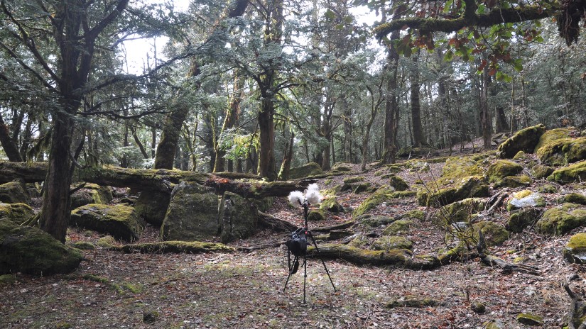 EarthExperience_sound-14