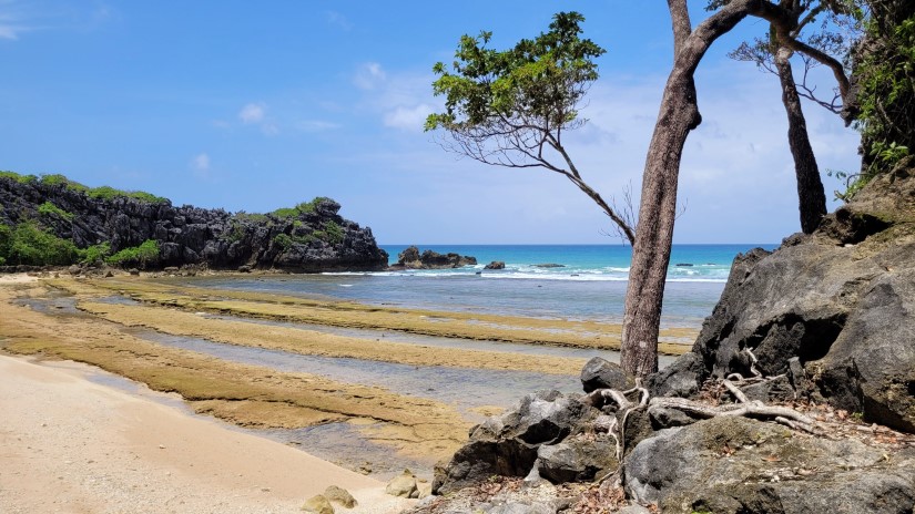 EarthExperience_sound-17