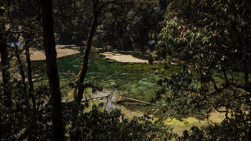 EarthExperience_sound-20