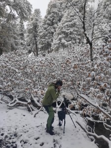 EarthExperience_sound-23